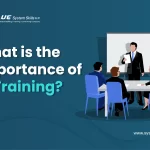 importance-of-it-training