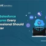 Salesforce Features